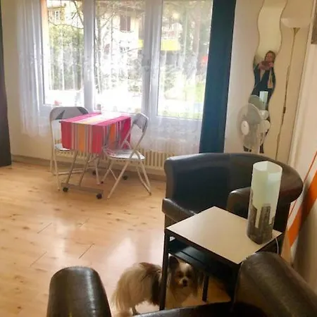 24 Studio Modern, Proche De Lac, Commerces, Centre Montreux